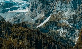 高山仰止景行行止的意思