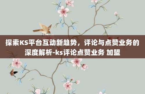 探索KS平台互动新趋势，评论与点赞业务的深度解析-ks评论点赞业务 加盟