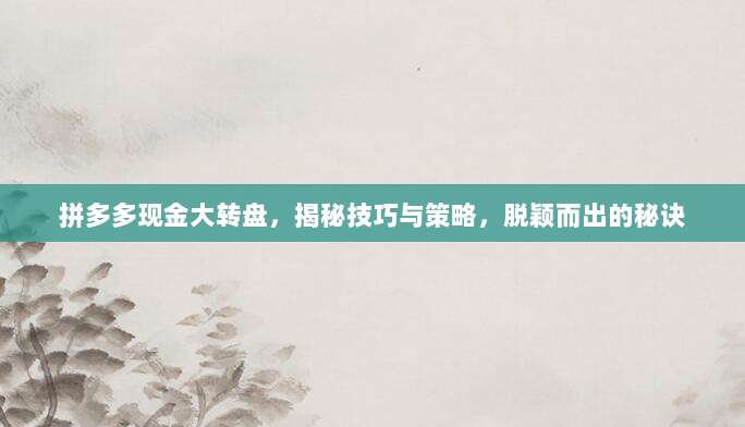 拼多多现金大转盘，揭秘技巧与策略，脱颖而出的秘诀