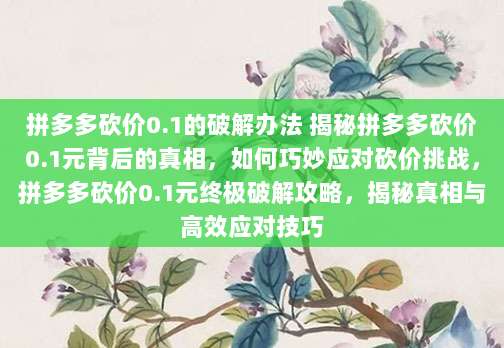 拼多多砍价0.1的破解办法 揭秘拼多多砍价0.1元背后的真相，如何巧妙应对砍价挑战，拼多多砍价0.1元终极破解攻略，揭秘真相与高效应对技巧