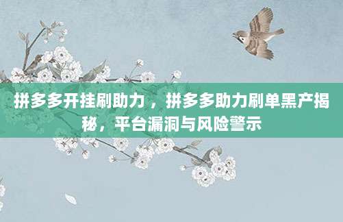 拼多多开挂刷助力 ,拼多多助力刷单黑产揭秘,平台漏洞与风险警示