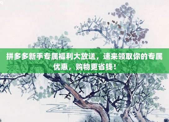 拼多多新手专属福利大放送，速来领取你的专属优惠，购物更省钱！
