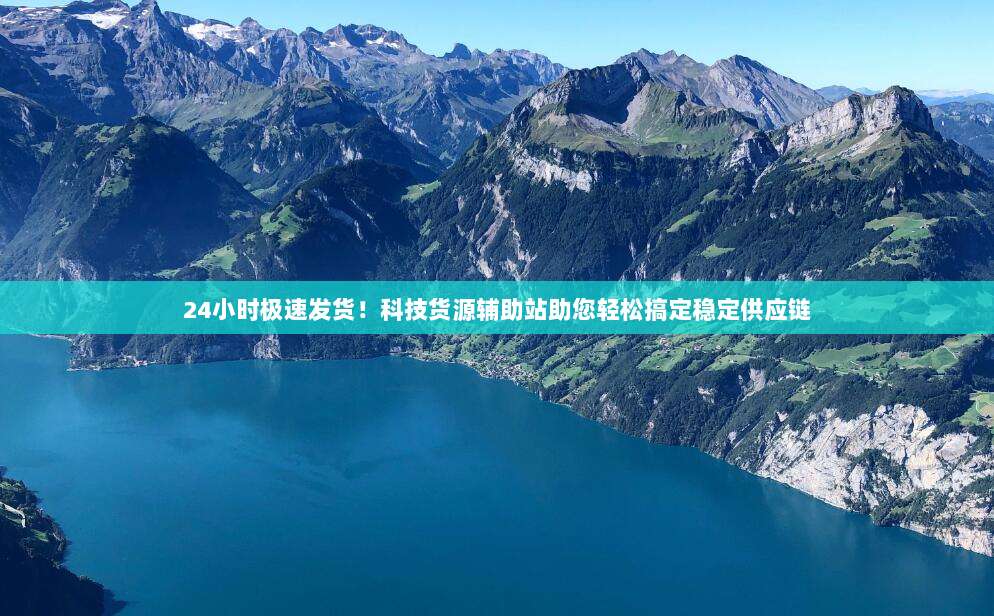 24小时极速发货！科技货源辅助站助您轻松搞定稳定供应链