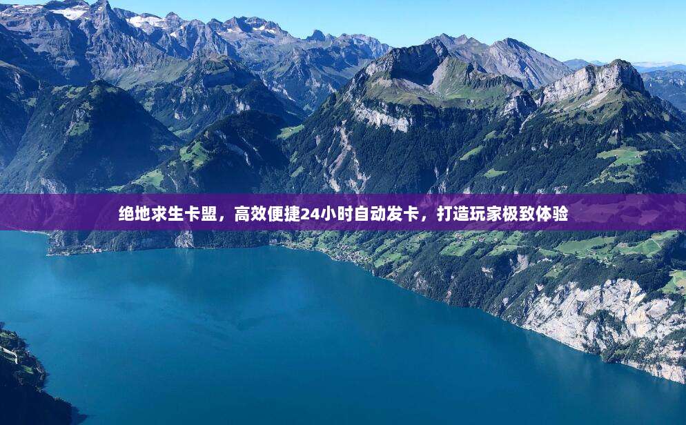 绝地求生卡盟，高效便捷24小时自动发卡，打造玩家极致体验