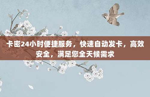 卡密24小时便捷服务,快速自动发卡,高效安全,满足您全天候需求