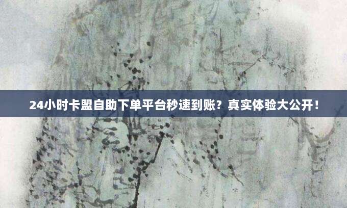 24小时卡盟自助下单平台秒速到账？真实体验大公开！