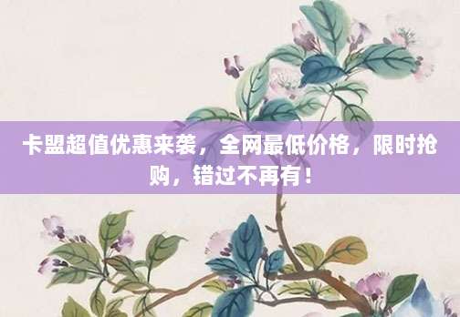 卡盟超值优惠来袭，全网最低价格，限时抢购，错过不再有！