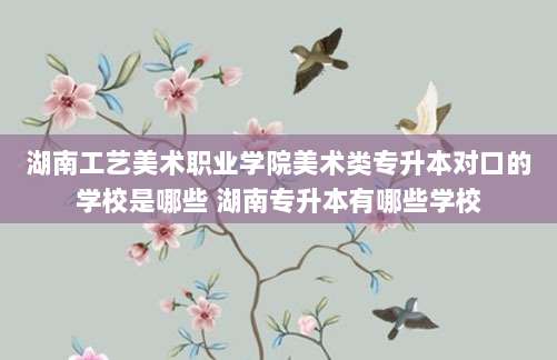 湖南工艺美术职业学院美术类专升本对口的学校是哪些 湖南专升本有哪些学校