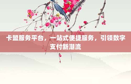 卡盟服务平台，一站式便捷服务，引领数字支付新潮流