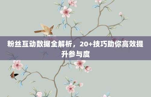 粉丝互动数据全解析，20+技巧助你高效提升参与度