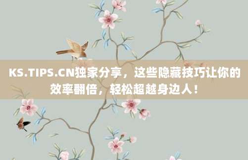 KS.TIPS.CN独家分享,这些隐藏技巧让你的效率翻倍,轻松超越身边人!