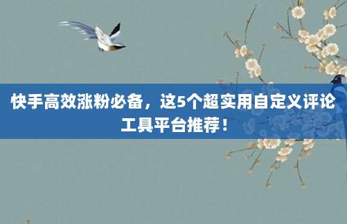 快手高效涨粉必备,这5个超实用自定义评论工具平台推荐!