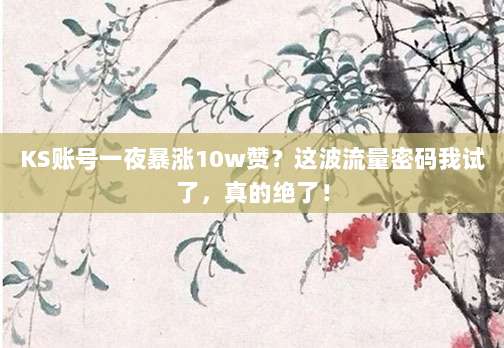 KS账号一夜暴涨10w赞?这波流量密码我试了,真的绝了!