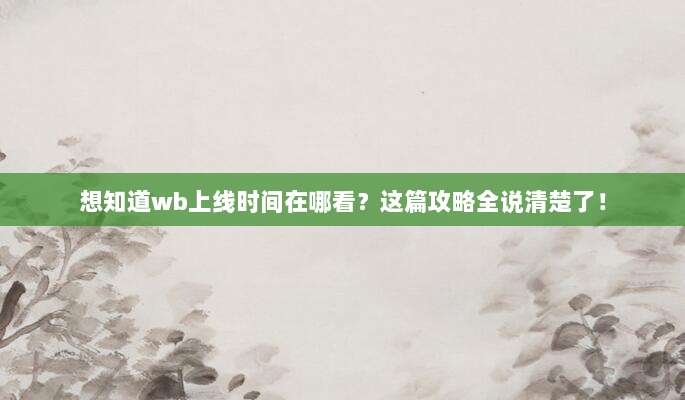 想知道wb上线时间在哪看?这篇攻略全说清楚了!