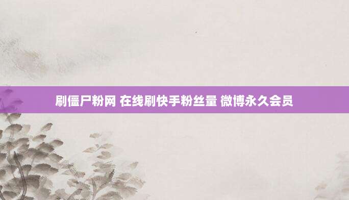 刷僵尸粉网 在线刷快手粉丝量 微博永久会员