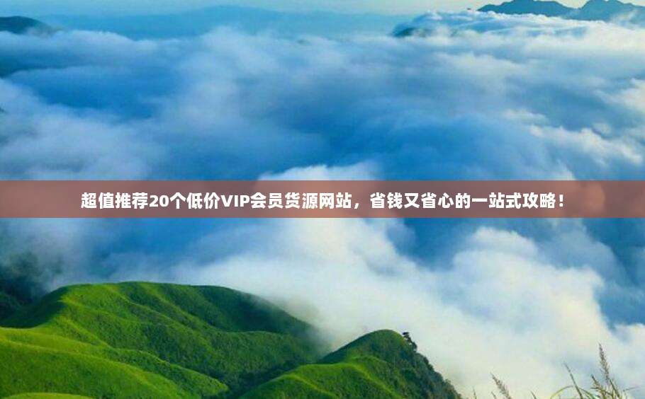 超值推荐20个低价VIP会员货源网站,省钱又省心的一站式攻略!