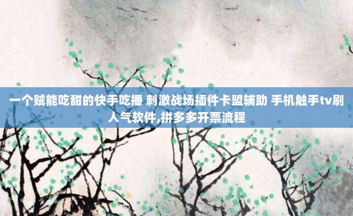 一个贼能吃甜的快手吃播 刺激战场插件卡盟辅助 手机触手tv刷人气软件,拼多多开票流程