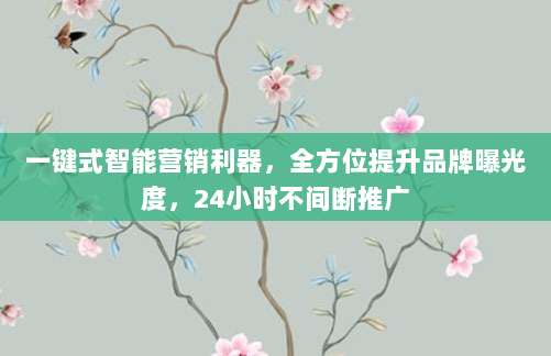 一键式智能营销利器，全方位提升品牌曝光度，24小时不间断推广