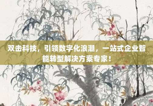 双击科技，引领数字化浪潮，一站式企业智能转型解决方案专家！