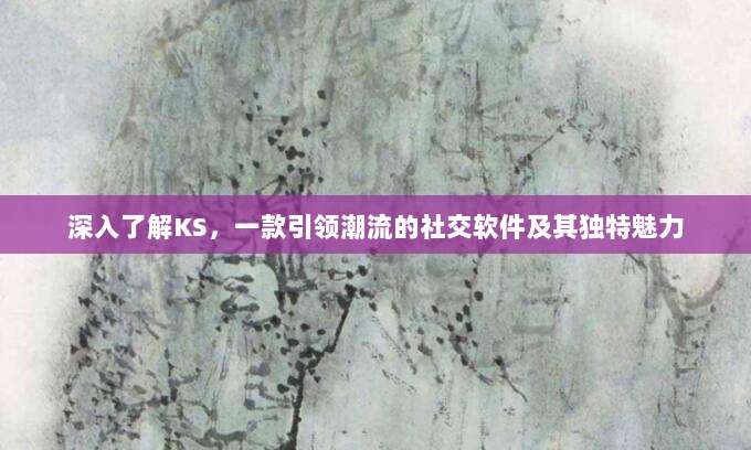 深入了解KS，一款引领潮流的社交软件及其独特魅力