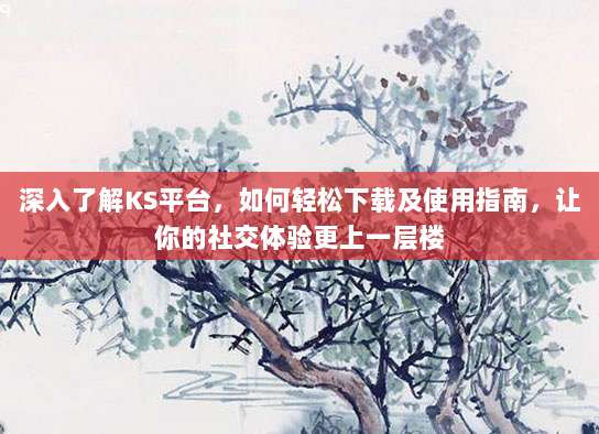 深入了解KS平台,如何轻松下载及使用指南,让你的社交体验更上一层楼