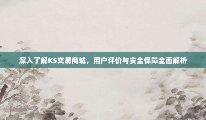 深入了解KS交易商城,用户评价与安全保障全面解析