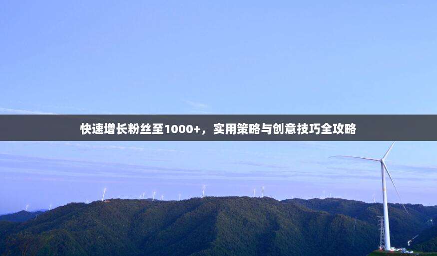 快速增长粉丝至1000+,实用策略与创意技巧全攻略