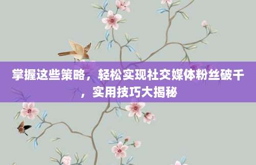 掌握这些策略，轻松实现社交媒体粉丝破千，实用技巧大揭秘