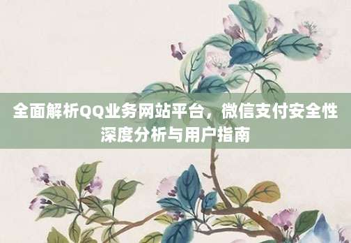 全面解析QQ业务网站平台,微信支付安全性深度分析与用户指南