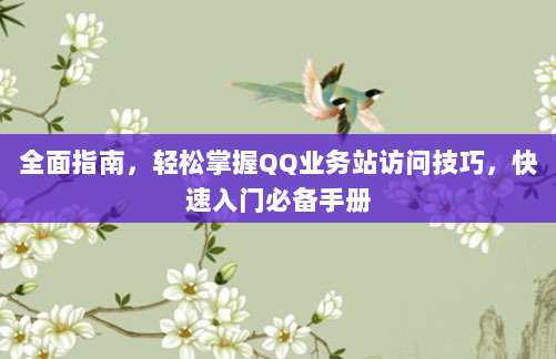 全面指南,轻松掌握QQ业务站访问技巧,快速入门必备手册