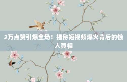 2万点赞引爆全场!揭秘短视频爆火背后的惊人真相