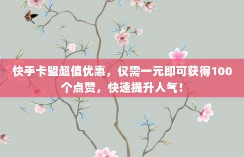 快手卡盟超值优惠,仅需一元即可获得100个点赞,快速提升人气!