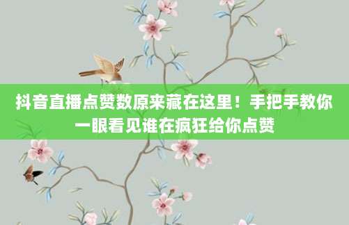 抖音直播点赞数原来藏在这里!手把手教你一眼看见谁在疯狂给你点赞