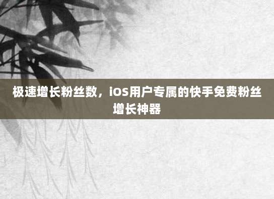 极速增长粉丝数,iOS用户专属的快手免费粉丝增长神器
