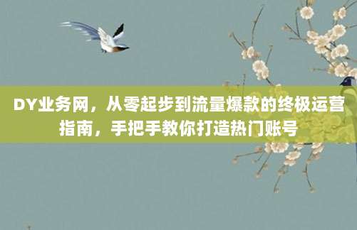 DY业务网,从零起步到流量爆款的终极运营指南,手把手教你打造热门账号