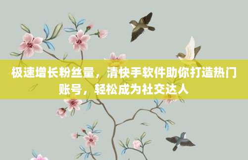 极速增长粉丝量，清快手软件助你打造热门账号，轻松成为社交达人