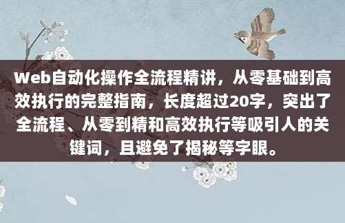 Web自动化操作全流程精讲,从零基础到高效执行的完整指南,长度超过20字,突出了全流程、从零到精和高效执行等吸引人的关键词,且避免了揭秘等字眼。