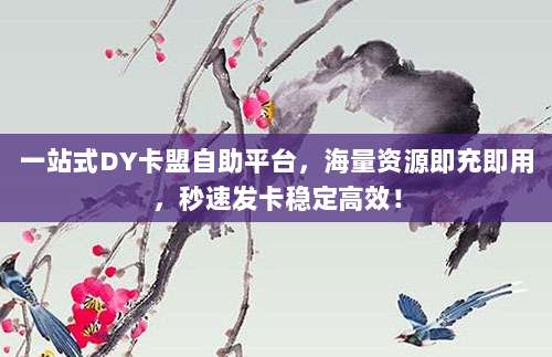 一站式DY卡盟自助平台,海量资源即充即用,秒速发卡稳定高效!