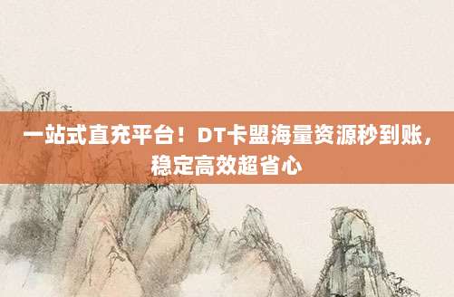 一站式直充平台！DT卡盟海量资源秒到账，稳定高效超省心