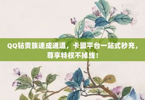 QQ钻贵族速成通道，卡盟平台一站式秒充，尊享特权不掉线！