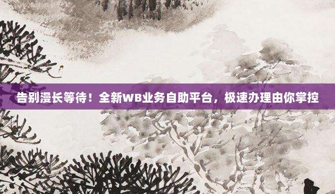 告别漫长等待!全新WB业务自助平台,极速办理由你掌控