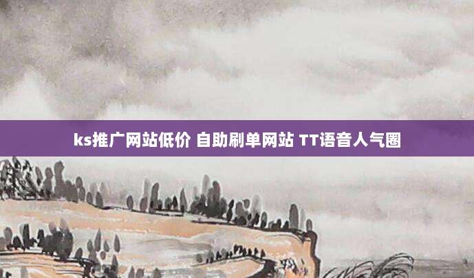 ks推广网站低价 自助刷单网站 TT语音人气圈