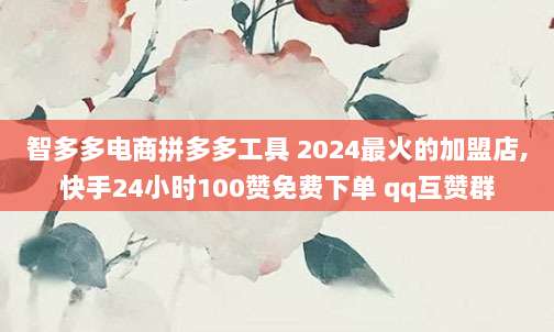 智多多电商拼多多工具 2024最火的加盟店,快手24小时100赞免费下单 qq互赞群