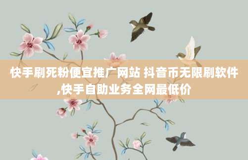 快手刷死粉便宜推广网站 抖音币无限刷软件,快手自助业务全网最低价